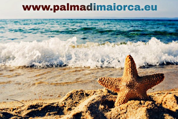 Palma di Maiorca